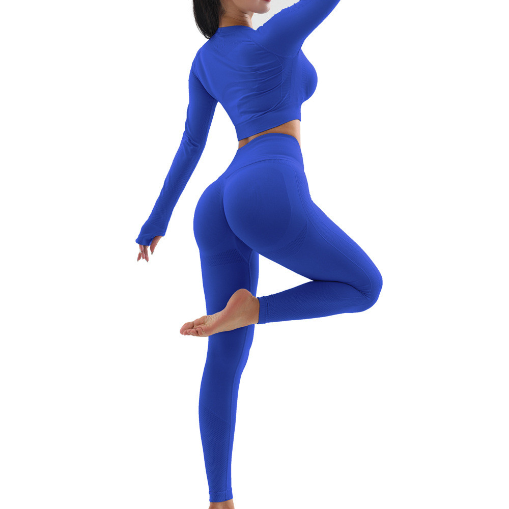 Seamless Workout Clothes Gym Wear Activewear