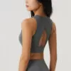 Private Label Sports Bras Manufacturer Sports Bras Wholesale