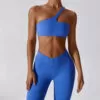 Fitness Clothing Vendors Wholesale Workout Clothes Activewear Manufacturers