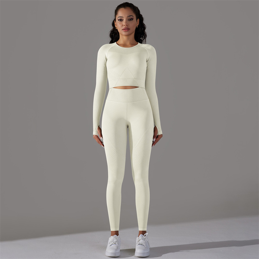 Seamless Workout Clothes Wholesale Activewear USA Bulk Athletic Wear