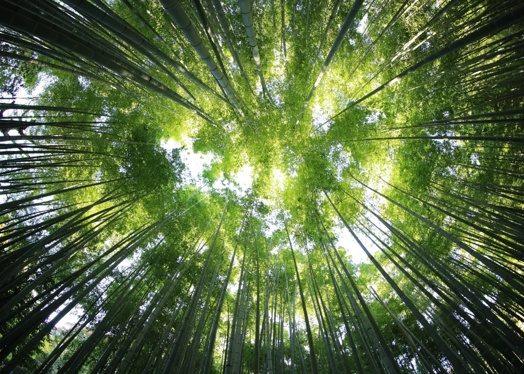 Sustainable fashion starts with these 7 eco-friendly fabrics！