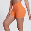 Elite Collection-Fitness Shorts for Women High Waist Butt Lifting V Cut Running Shorts