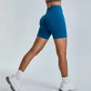 Fitness Yoga Seamless High Waist Butt Lifting Shorts custom shorts manufacturer