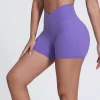 Elite Collection-Fitness Shorts for Women High Waist Butt Lifting V Cut Running Shorts