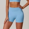 Seamless Gym Clothes Women Fitness High Waist Shorts