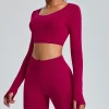 Long Sleeve Yoga Outfits Gym Clothes Seamless Crop Tops