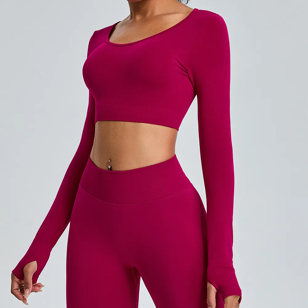 Long Sleeve Yoga Outfits Gym Clothes Seamless Crop Tops