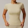 Gym Athletic Slim Fit Top Seamless Short Sleeve Top