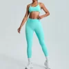 Seamless Clothing Suppliers Scrunch Workout Yoga Leggings one active leggings