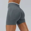 Spark Clothing Seamless Activewear Wholesale Gym Shorts Seamless Clothing Suppliers
