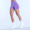 Seamless Fitness Shorts Private Label Fitness Clothing Seamless Apparel Manufacturers