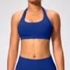Private Label Athletic Wear Sports Bra VS Bra Athletic Clothing Wholesale Suppliers