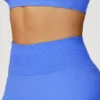 Athletic Shorts In Bulk Seamless Activewear Spark Clothing Seamless Clothing Suppliers