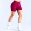 Seamless Fitness Shorts Seamless Activewear Seamless Clothing Suppliers