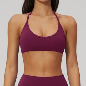 Sports Bra vs Bra Custom Sports Bra Wholesale Branded Sports Clothing Fitness Apparel Manufacturer