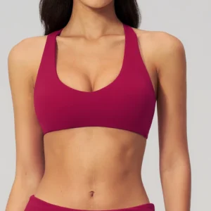 Wholesale Sports Bras Bulk Sports Gear Activewear Manufacturer Sports Bra Manufacturer