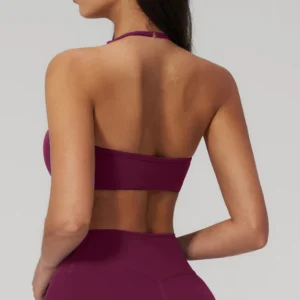 Sports Bra vs Bra Custom Sports Bra Wholesale Branded Sports Clothing Fitness Apparel Manufacturer