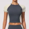 Women Short Sleeve For Tops Sportswear Startup Activewear Manufacturer Women Short Sleeve For Tops Sportswear Startup Activewear Manufacturer