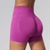 Seamless Gym Shorts Affordable Seamless Activewear Options Custom Gym Clothing Manufacturers Seamless Gym Shorts Affordable Seamless Activewear Options Custom Gym Clothing Manufacturers