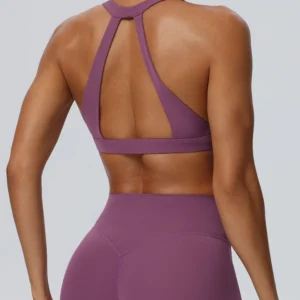 Sports Bra VS Regular Bra AQ Sport Fashion Wear Wholesale Activewear Suppliers