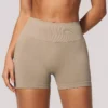 Spark Gear Seamless Shorts Gym Seamless Activewear Supplier Spark Gear Seamless Shorts Gym Seamless Activewear Supplier