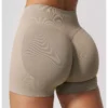 Spark Gear Seamless Shorts Gym Seamless Activewear Supplier Spark Gear Seamless Shorts Gym Seamless Activewear Supplier