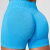 Seamless Fitness Shorts Workout Clothes Manufacturer Spark Clothing Seamless Fitness Shorts Workout Clothes Manufacturer Spark Clothing