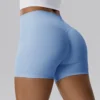 Private Label Fitness Clothing Athletic Shorts Manufacturers Private Label Fitness Clothing Athletic Shorts Manufacturers